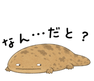 865816024