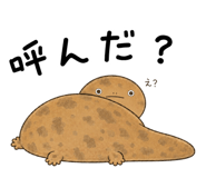 865816026