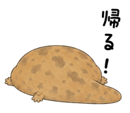 865816027