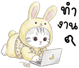 ตาต้า แมวน้อยน่ารัก รูปที่ 1