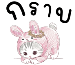 ตาต้า แมวน้อยน่ารัก รูปที่ 3
