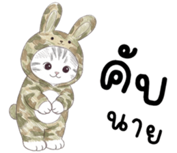 ตาต้า แมวน้อยน่ารัก รูปที่ 4
