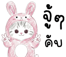 ตาต้า แมวน้อยน่ารัก รูปที่ 5
