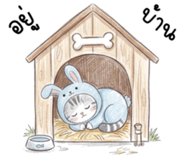 ตาต้า แมวน้อยน่ารัก รูปที่ 9