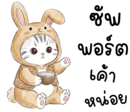 ตาต้า แมวน้อยน่ารัก รูปที่ 10