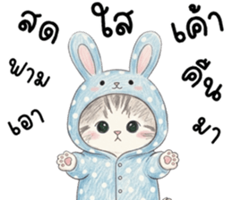 ตาต้า แมวน้อยน่ารัก รูปที่ 11