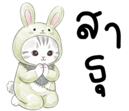 ตาต้า แมวน้อยน่ารัก รูปที่ 12