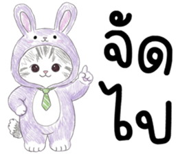 ตาต้า แมวน้อยน่ารัก รูปที่ 13