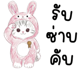 ตาต้า แมวน้อยน่ารัก รูปที่ 14