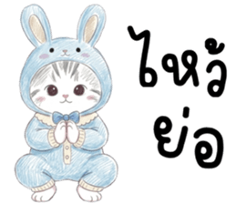 ตาต้า แมวน้อยน่ารัก รูปที่ 15