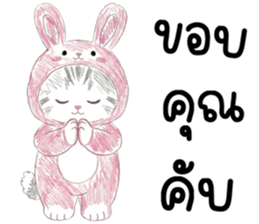 ตาต้า แมวน้อยน่ารัก รูปที่ 16