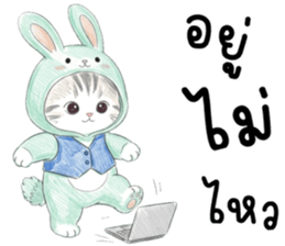 ตาต้า แมวน้อยน่ารัก รูปที่ 17