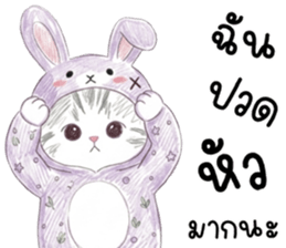 ตาต้า แมวน้อยน่ารัก รูปที่ 20