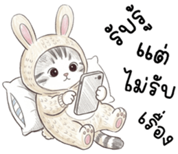 ตาต้า แมวน้อยน่ารัก รูปที่ 23