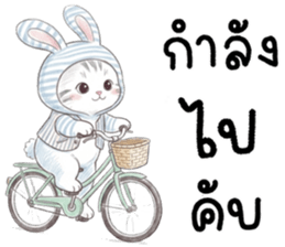 ตาต้า แมวน้อยน่ารัก รูปที่ 24