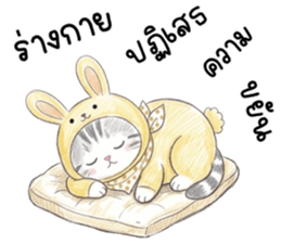 ตาต้า แมวน้อยน่ารัก รูปที่ 25
