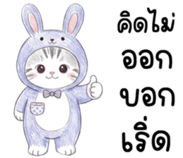 ตาต้า แมวน้อยน่ารัก รูปที่ 29