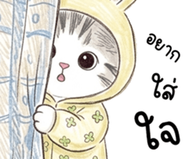 ตาต้า แมวน้อยน่ารัก รูปที่ 33