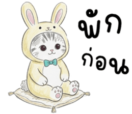 ตาต้า แมวน้อยน่ารัก รูปที่ 38