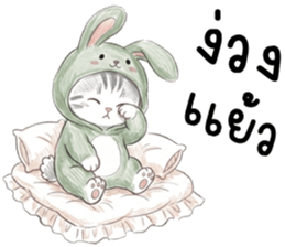 ตาต้า แมวน้อยน่ารัก รูปที่ 39