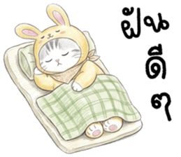 ตาต้า แมวน้อยน่ารัก รูปที่ 40