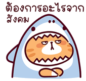 865910622