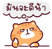 865910626
