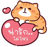 865910627