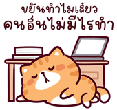 865910647