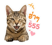 866180418