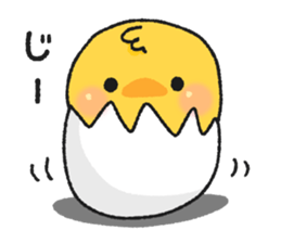 8662998