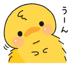 8663002