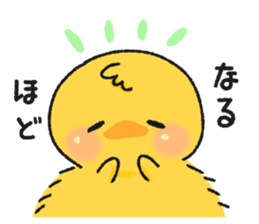 8663003