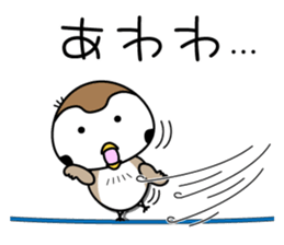 8663914