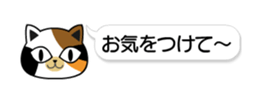 86657721