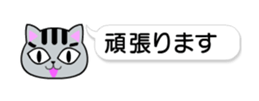 86657730
