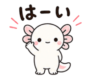 866581784