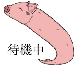 8670581