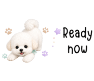 867081916