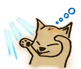 867231