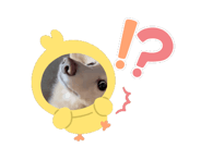 867444448