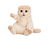 867483893
