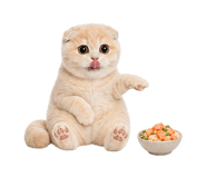 867483897