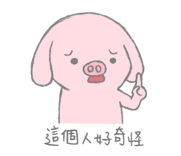 86753255