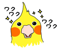 8675894