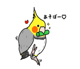 8675896