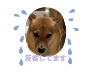 867610699