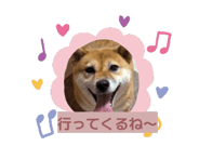 867610701