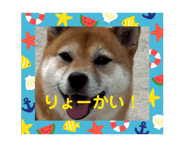 867610702