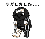 867646438